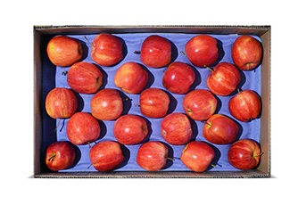 Caja Manzana Gala